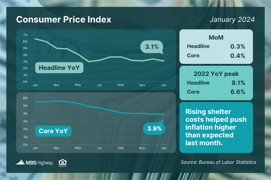 Consumer Price Index (January 2024)